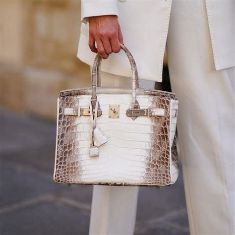 mẫu túi hermes birkin.